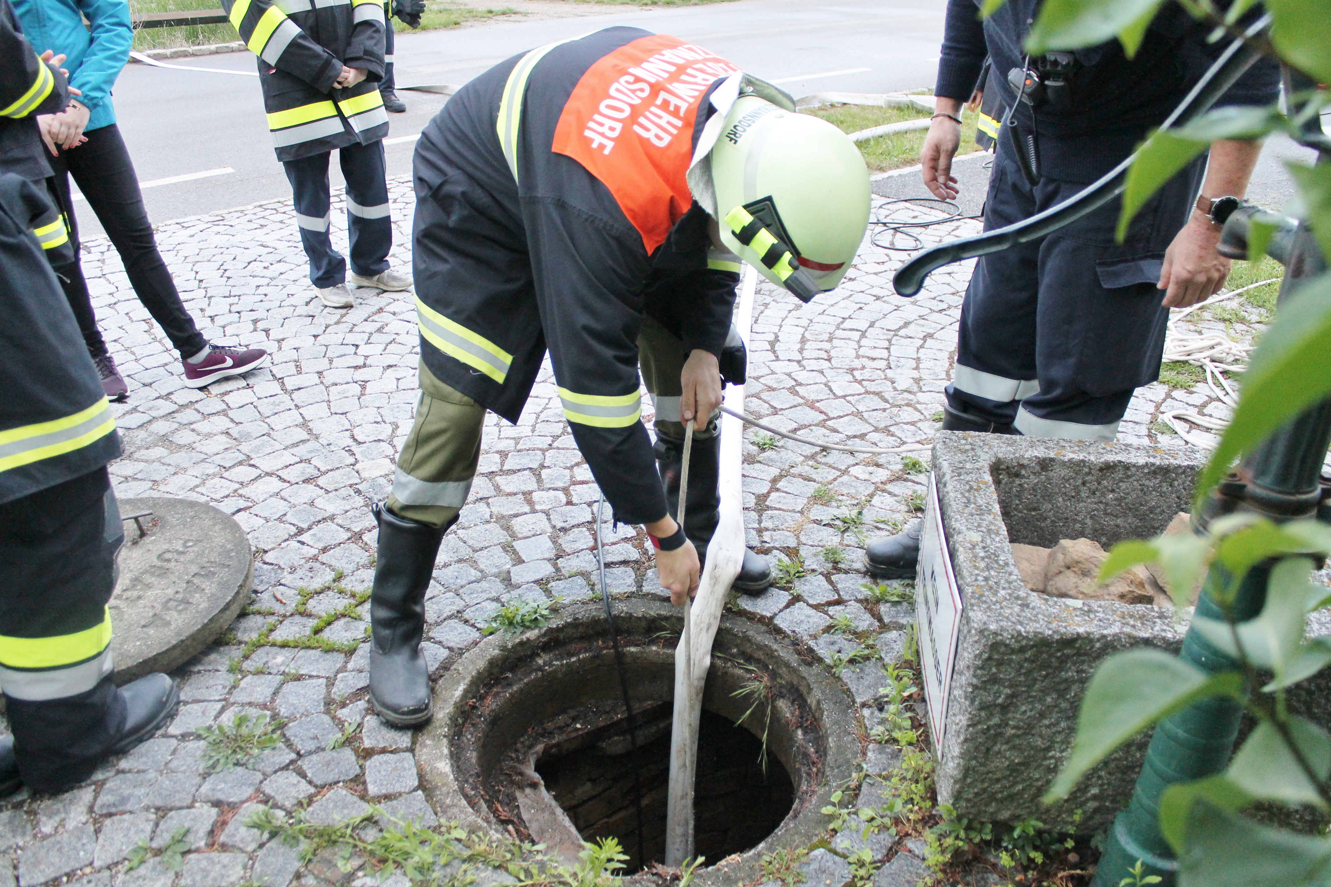 Bild6