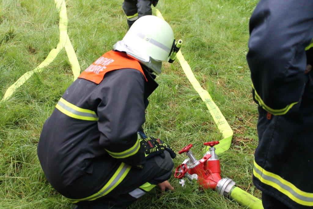 Bild18
